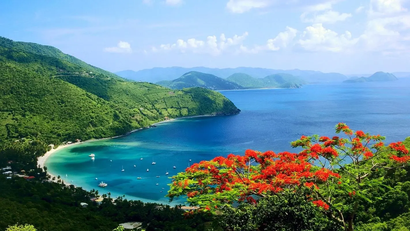 电子可靠性智能系统
